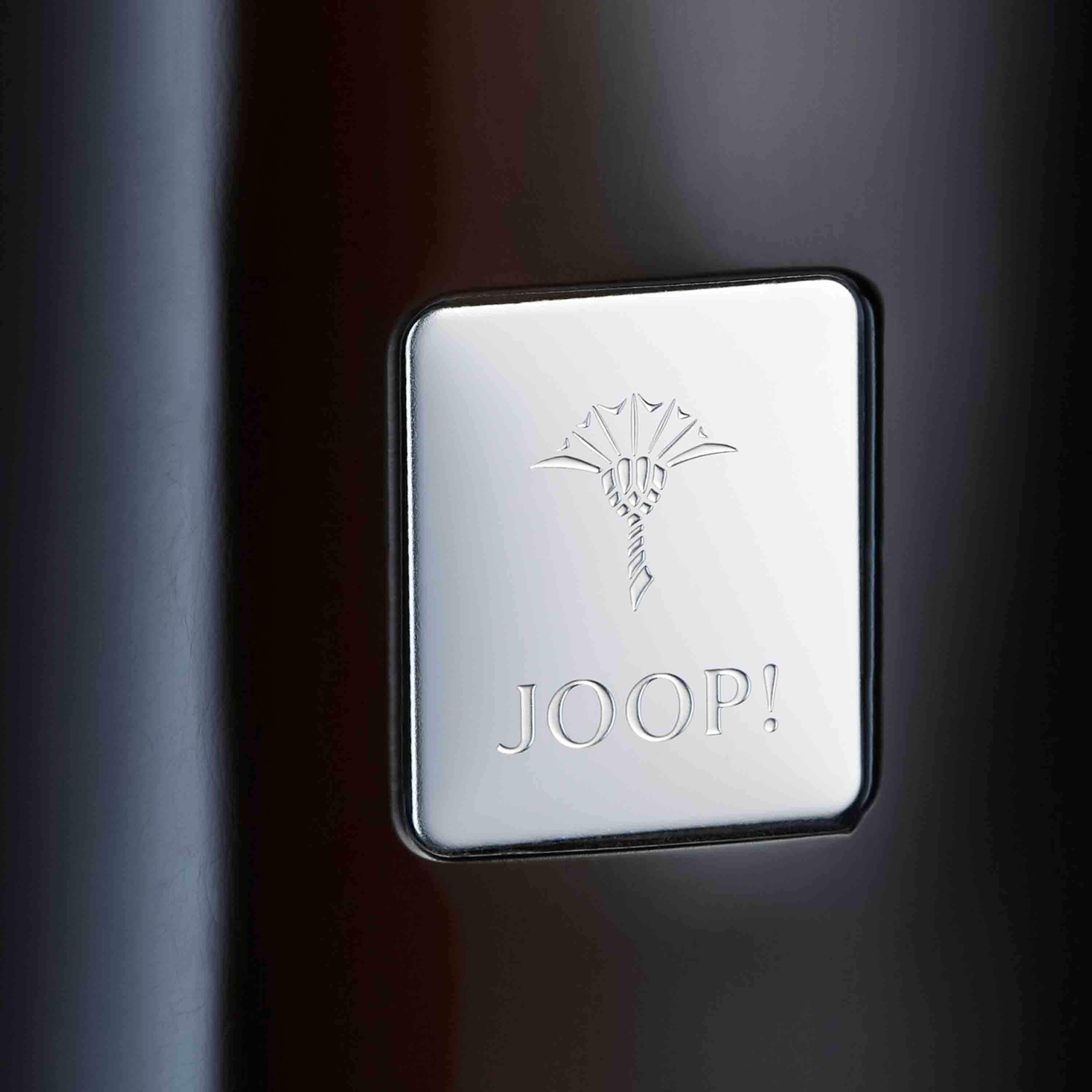 Joop! WC Bürste Crystal Line Freistehend Anthrazit