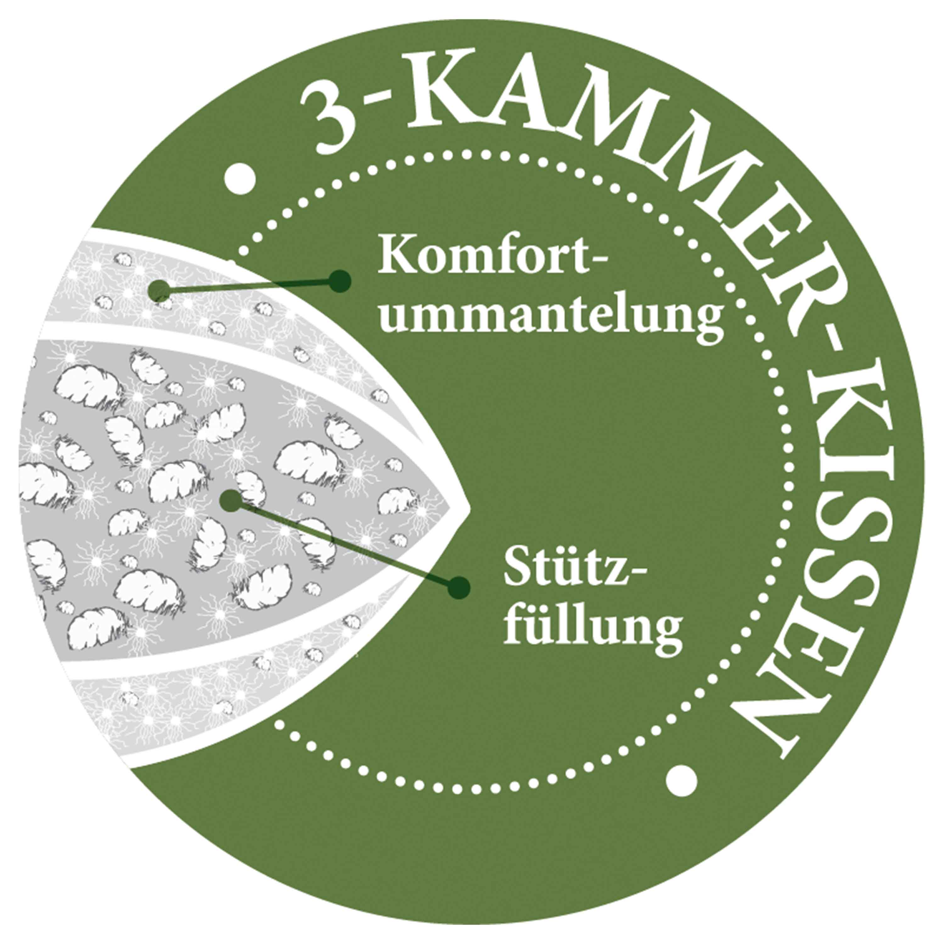 Paradies Kopfkissen Mali fest Bio 80x80 Weiß Paradies Kopfkissen Mali fest Bio 80x80 Weiß