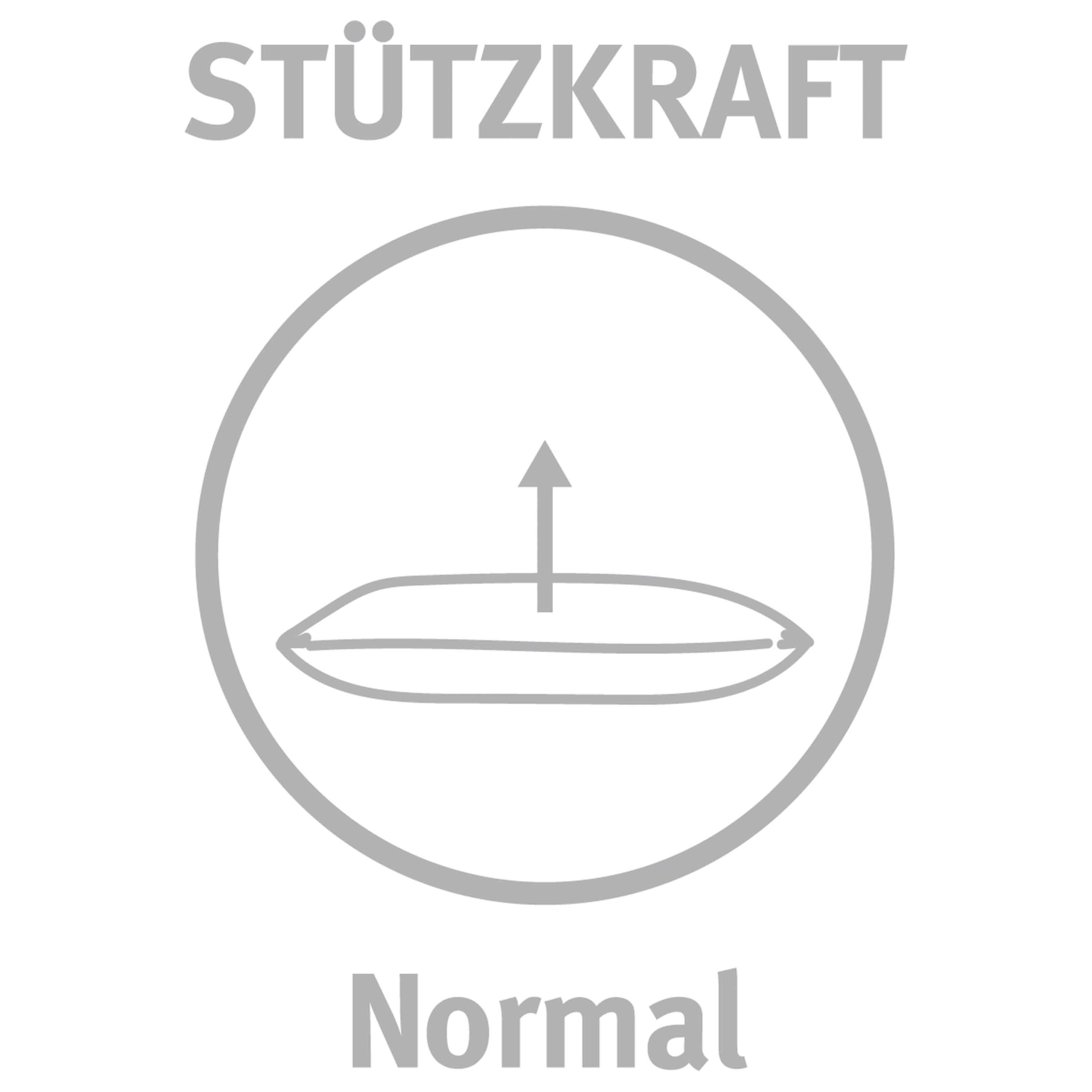 Paradies Kopfkissen Malea medium Bio 80x80 Weiß Paradies Kopfkissen Malea medium Bio 80x80 Weiß
